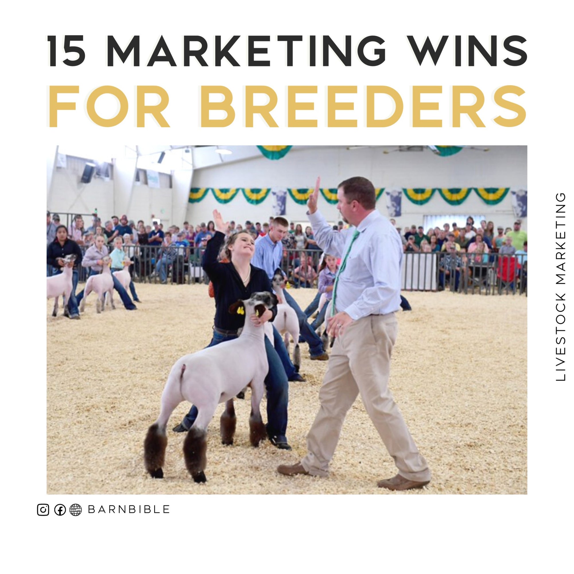 15 Marketing Wins for Breeders - Livestock & Co.