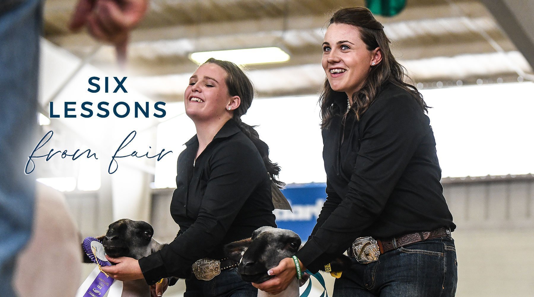 6 Lessons From Fair - Livestock & Co.